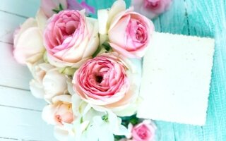 Every Heart Deserve a Blooming